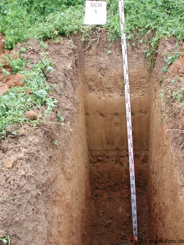 Exploratory Test Pits in Laramie: Direct Subsurface Insight